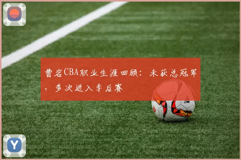 曹岩CBA职业生涯回顾:未获总冠军,多次进入季后赛