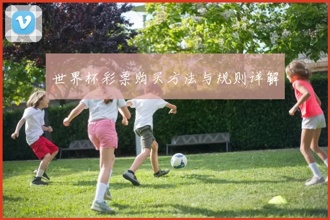 世界杯彩票购买方法与规则详解