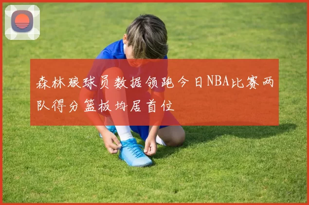森林狼球员数据领跑今日NBA比赛两队得分篮板均居首位