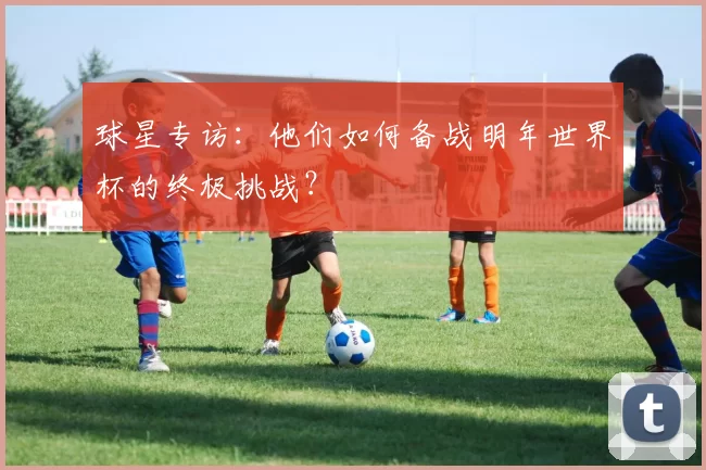 球星专访：他们如何备战明年世界杯的终极挑战？