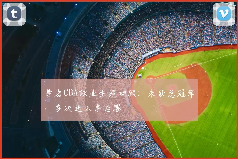 曹岩CBA职业生涯回顾:未获总冠军,多次进入季后赛