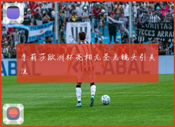 李莉莎欧洲杯亮相无圣光镜头引关注