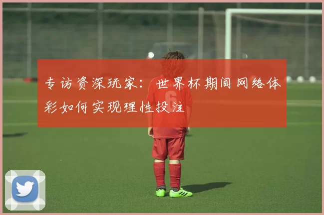 专访资深玩家:世界杯期间网络体彩如何实现理性投注