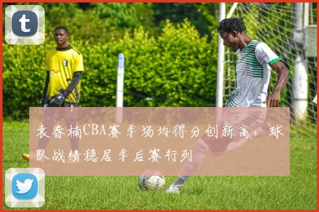 袁春楠CBA赛季场均得分创新高，球队战绩稳居季后赛行列